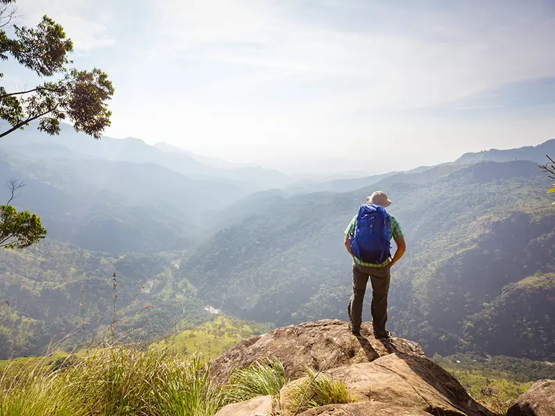 Walk Where the Wild Stories Begin