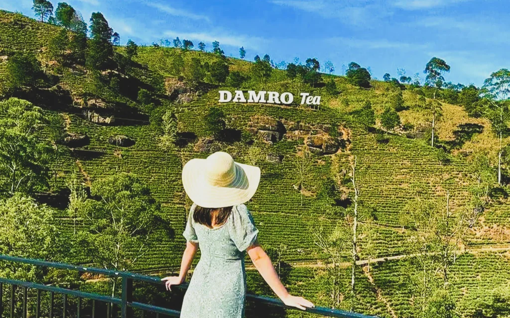 Sri Lanka Named One of the 50 Best Places to Travel in 2026