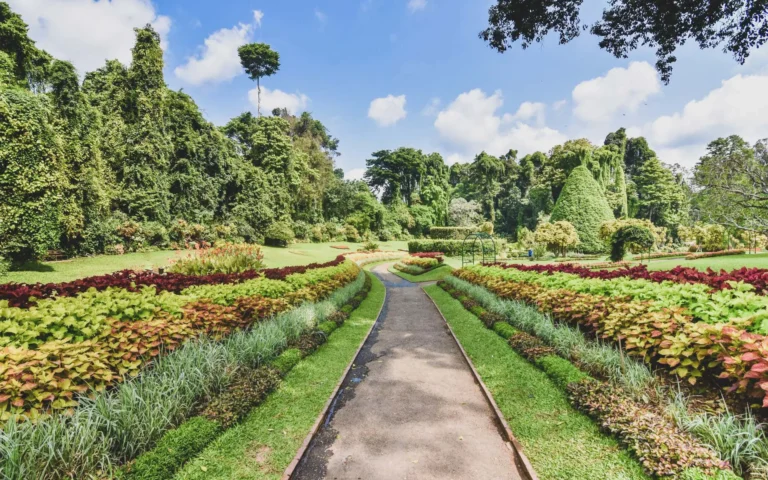 Peradeniya Botanical Garden
