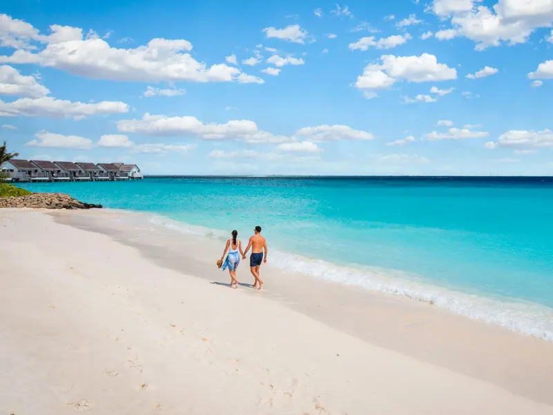 Wildlife, Culture & Maldives Blue