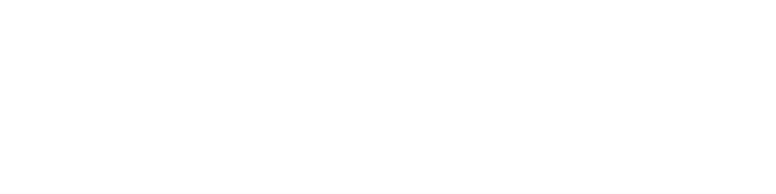 Simplifly Lanka Logo